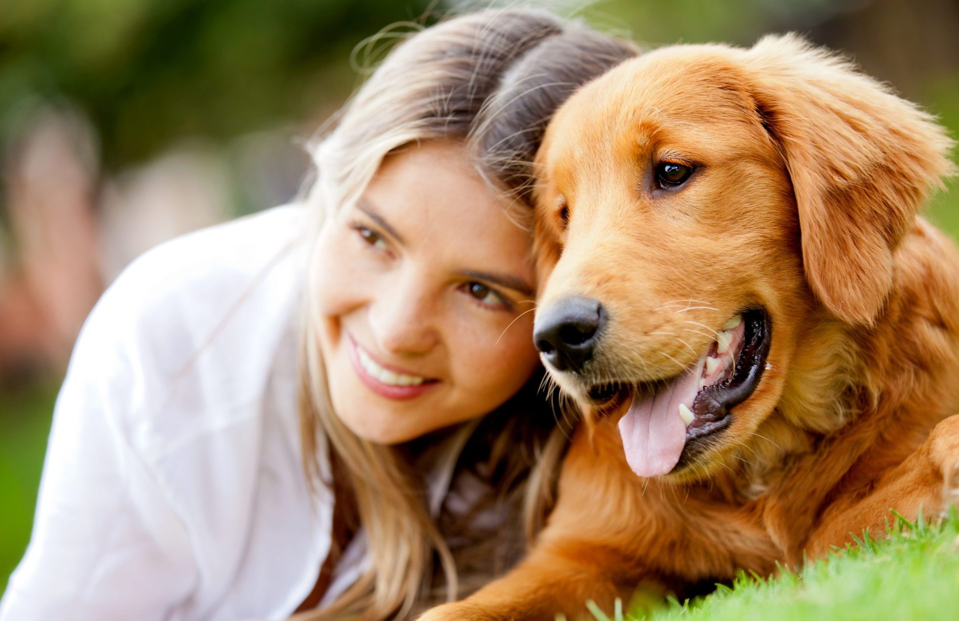 As pessoas que têm cães são mais felizes?