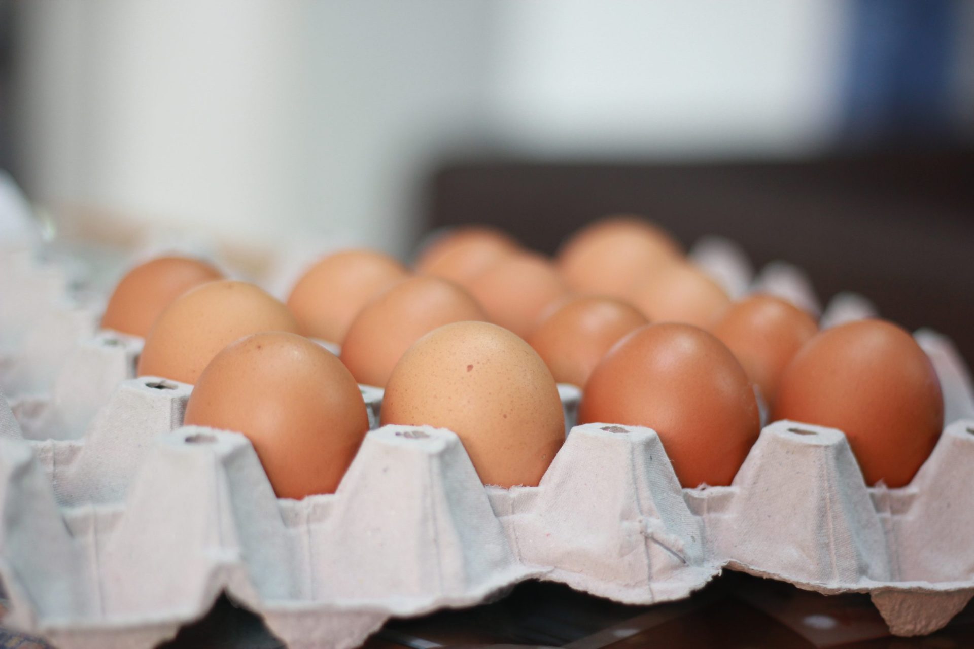 Os americanos guardam os ovos no frio e os europeus não. E há uma razão
