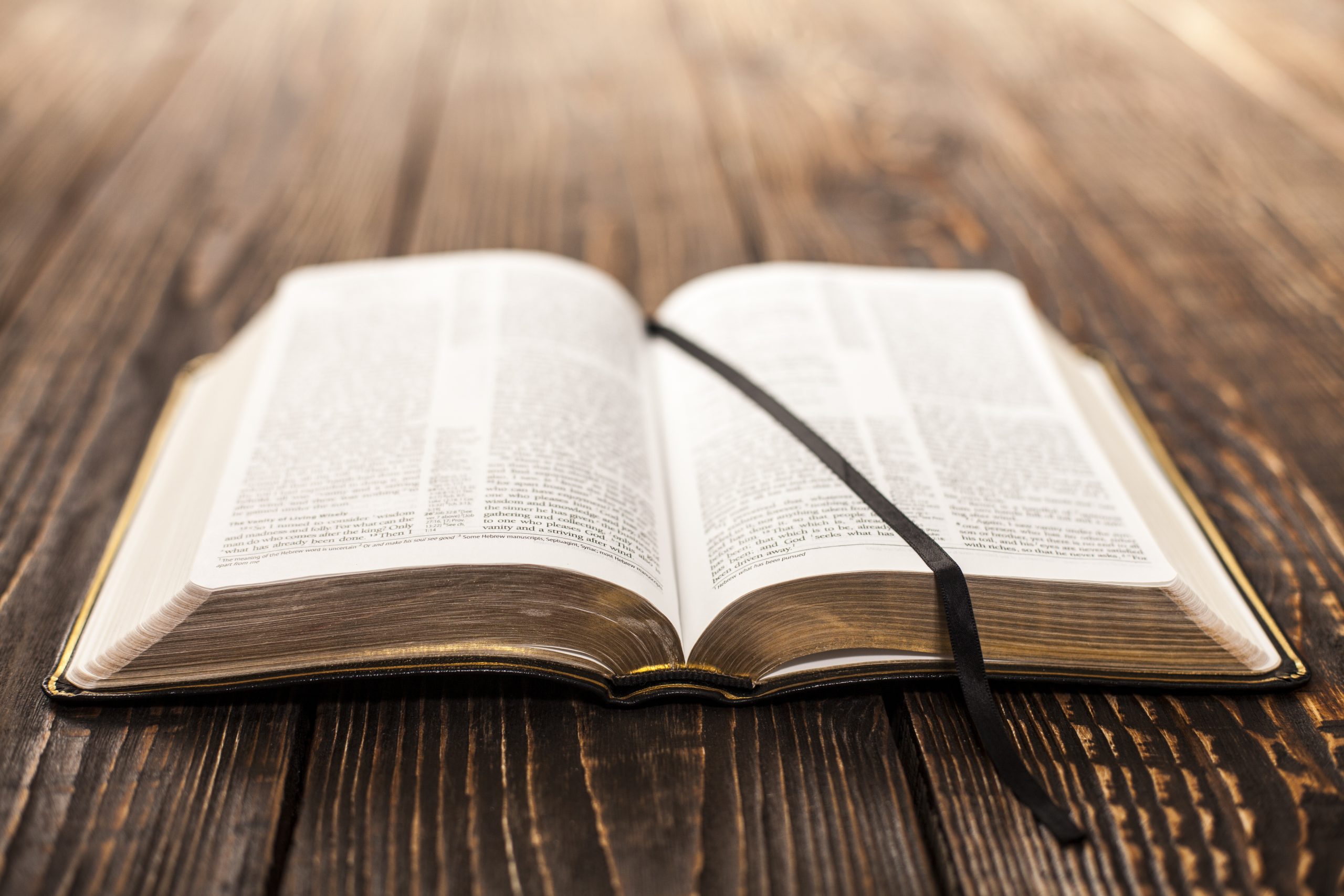 Qual o texto sagrado mais violento: a Bíblia ou o Corão?
