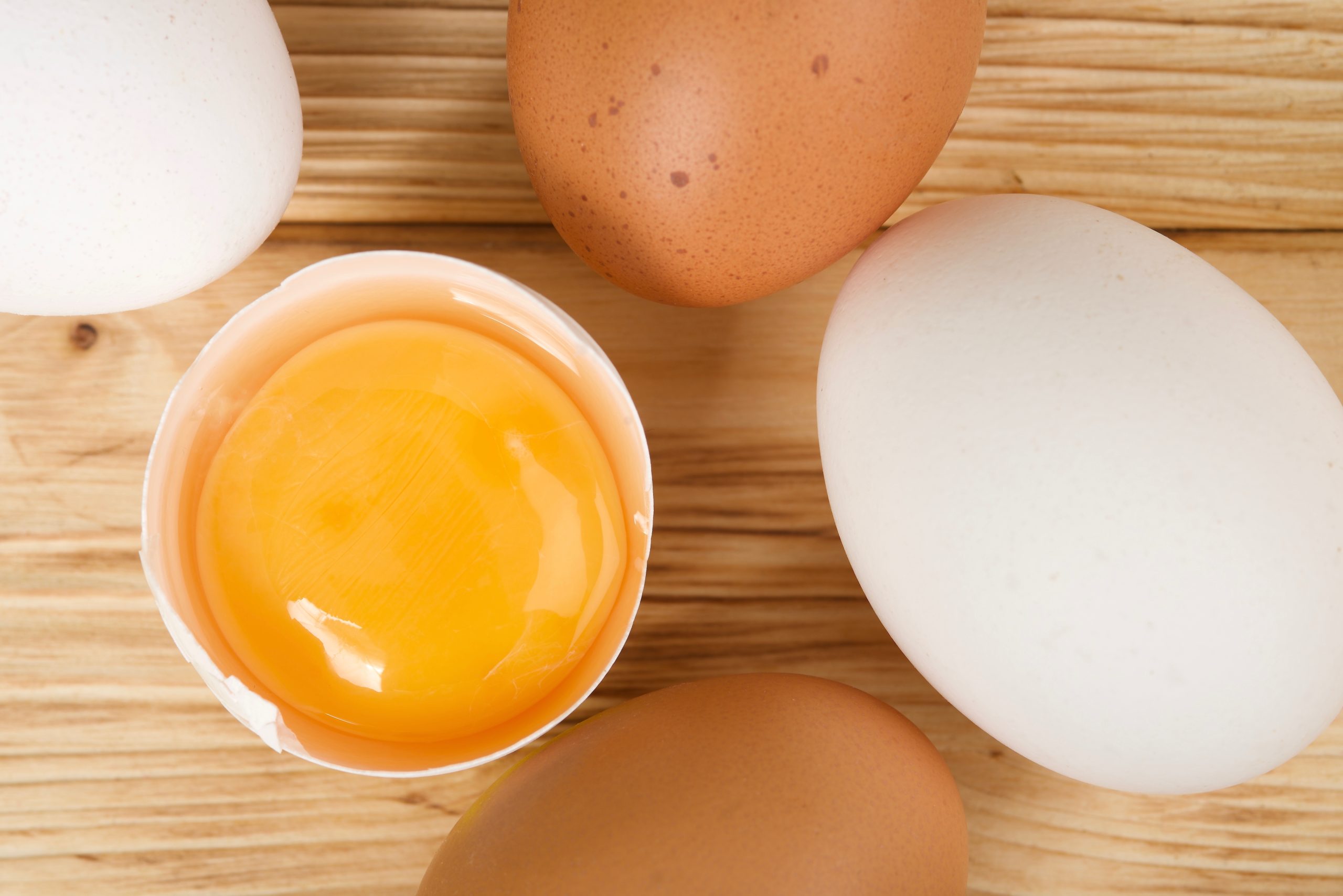 Os ovos têm várias cores. Sabe porquê?