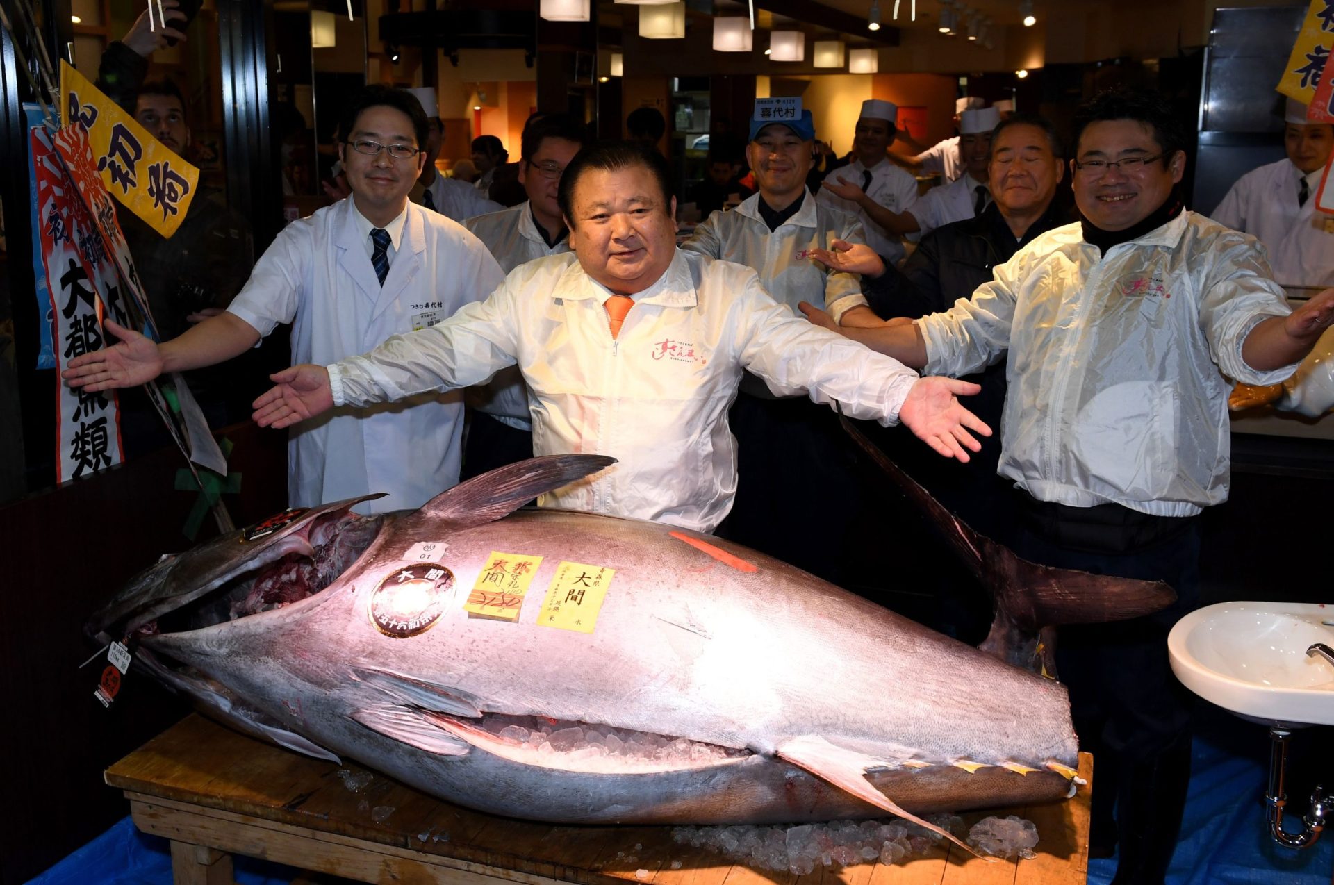Japão. Atum vendido por mais de 605 mil euros em leilão