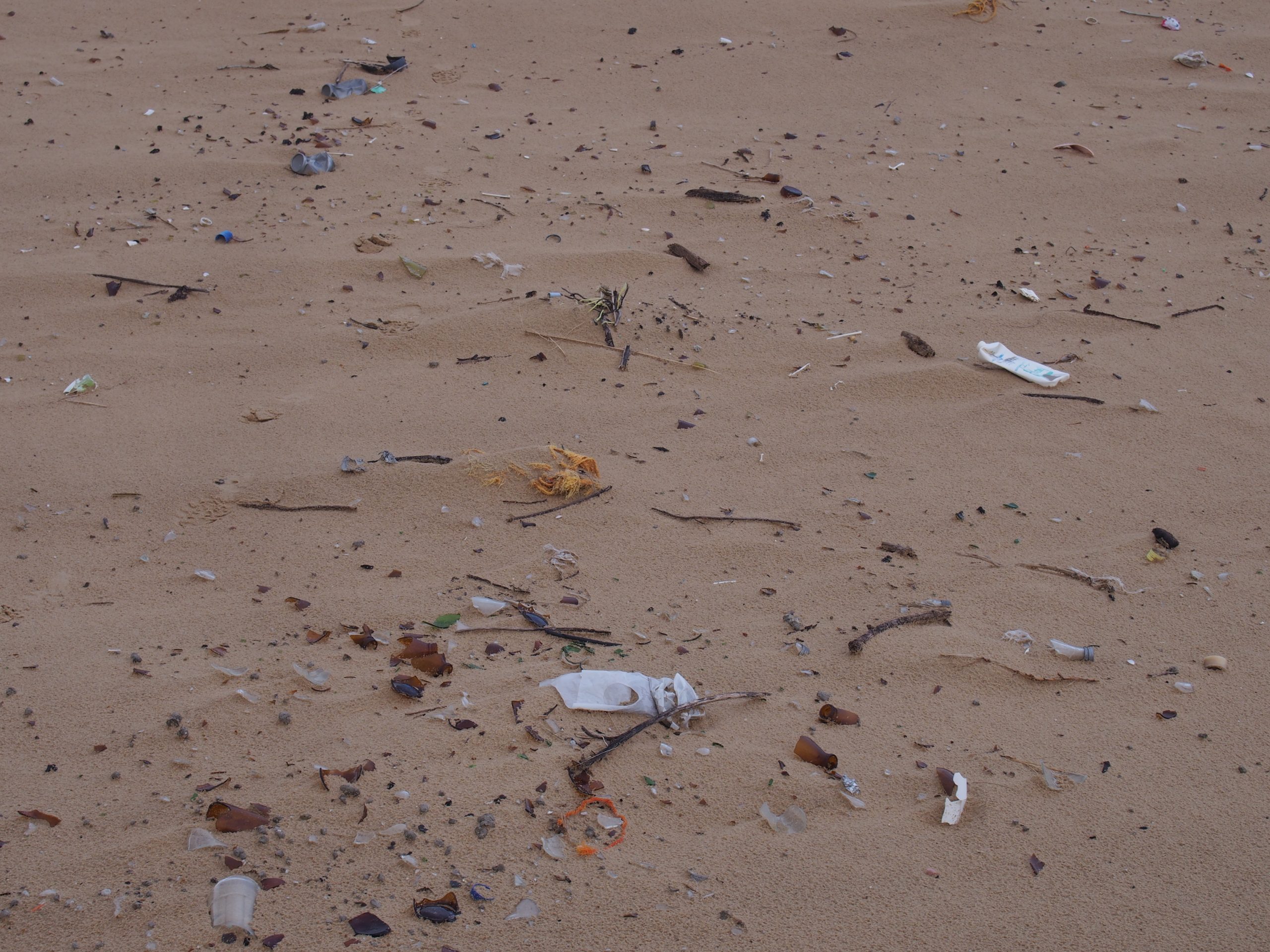 Lixo que dá à costa em Viana do Castelo vem da Alemanha, Espanha e Malásia