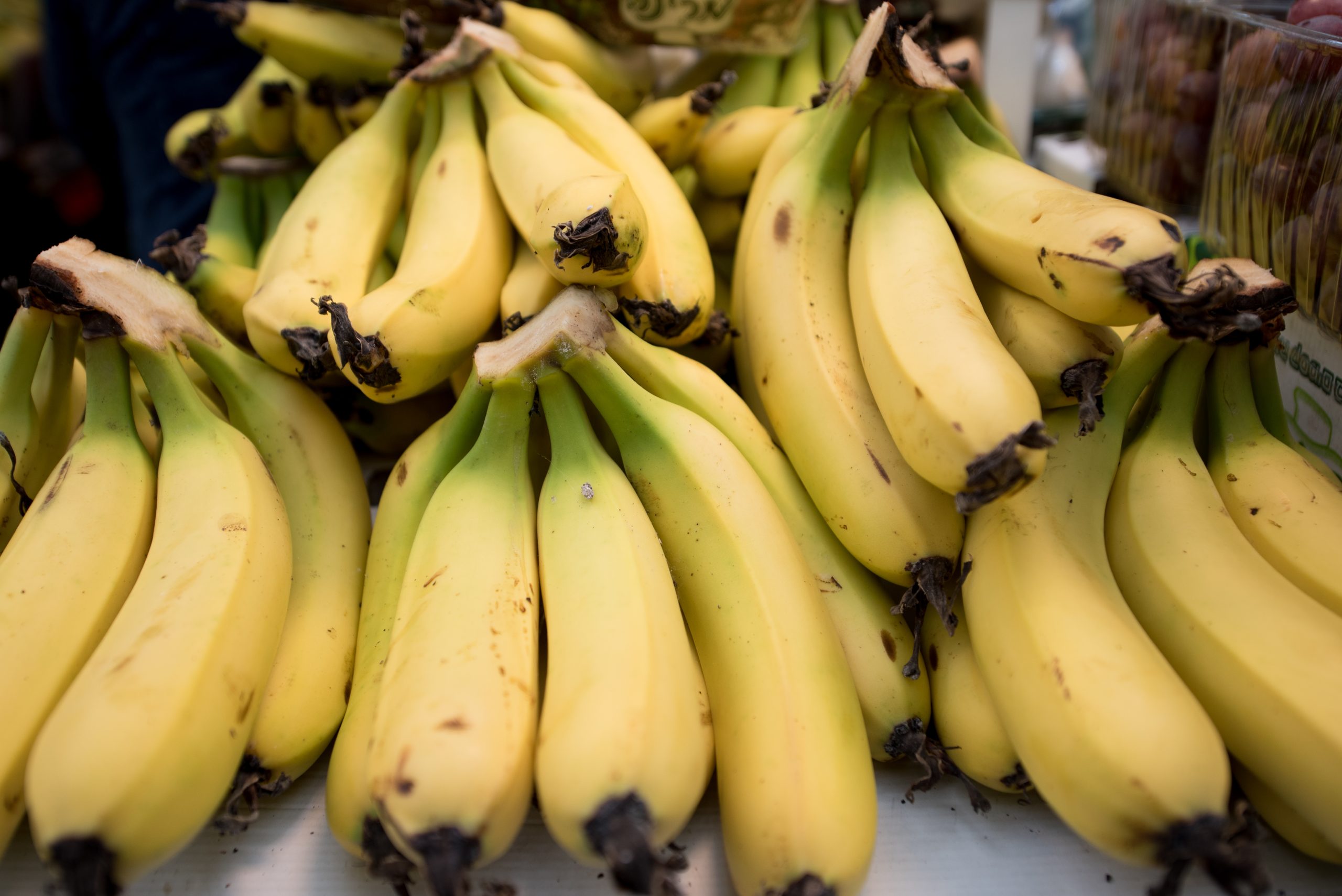Bananas que escondiam mais de cinco toneladas de cocaína apreendidas