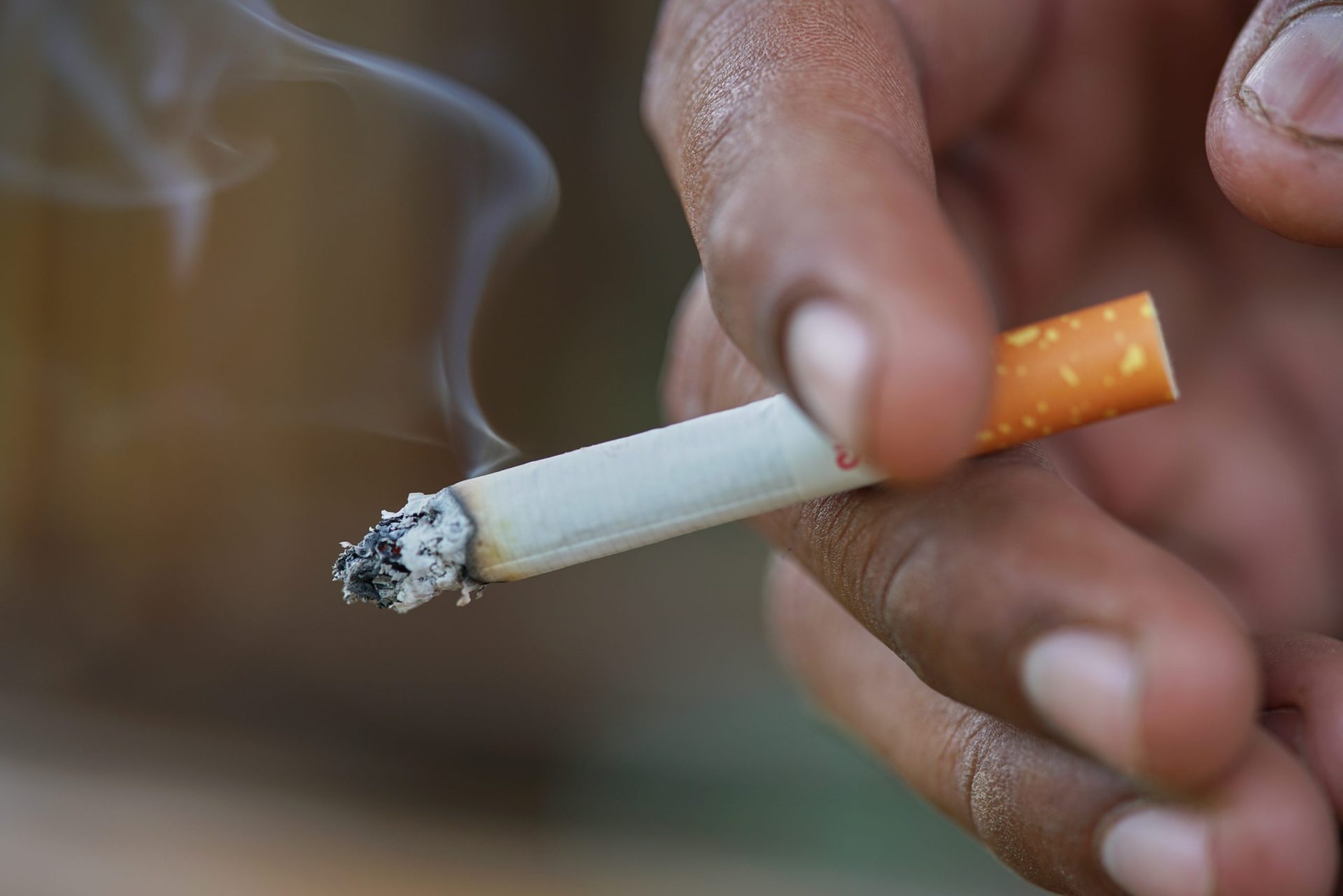 OMS alerta para a pegada ambiental da produção de tabaco