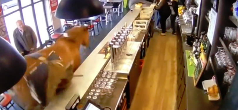 Cavalo invade bar e deixa clientes em pânico | VÍDEO