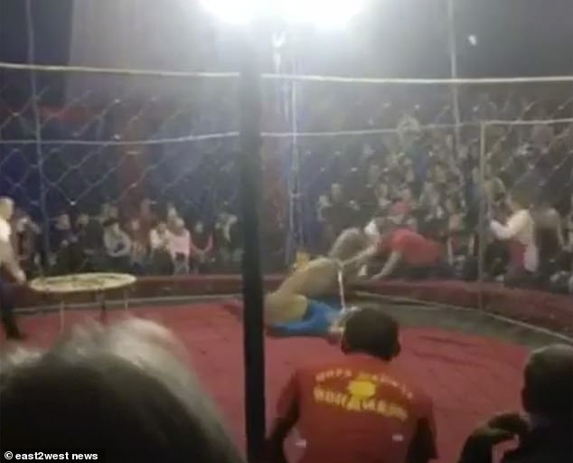Leoa ataca criança de 4 anos durante espetáculo de circo na Rússia | VÍDEO