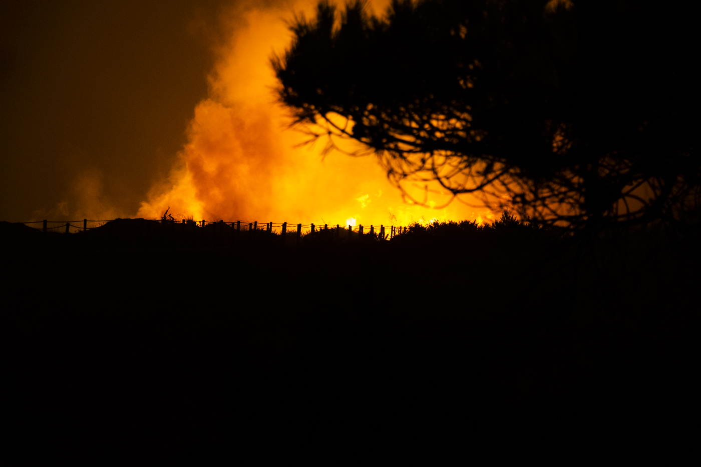 Quarto fogo em poucos dias no Parque Natural Sintra-Cascais. PJ já estava a investigar
