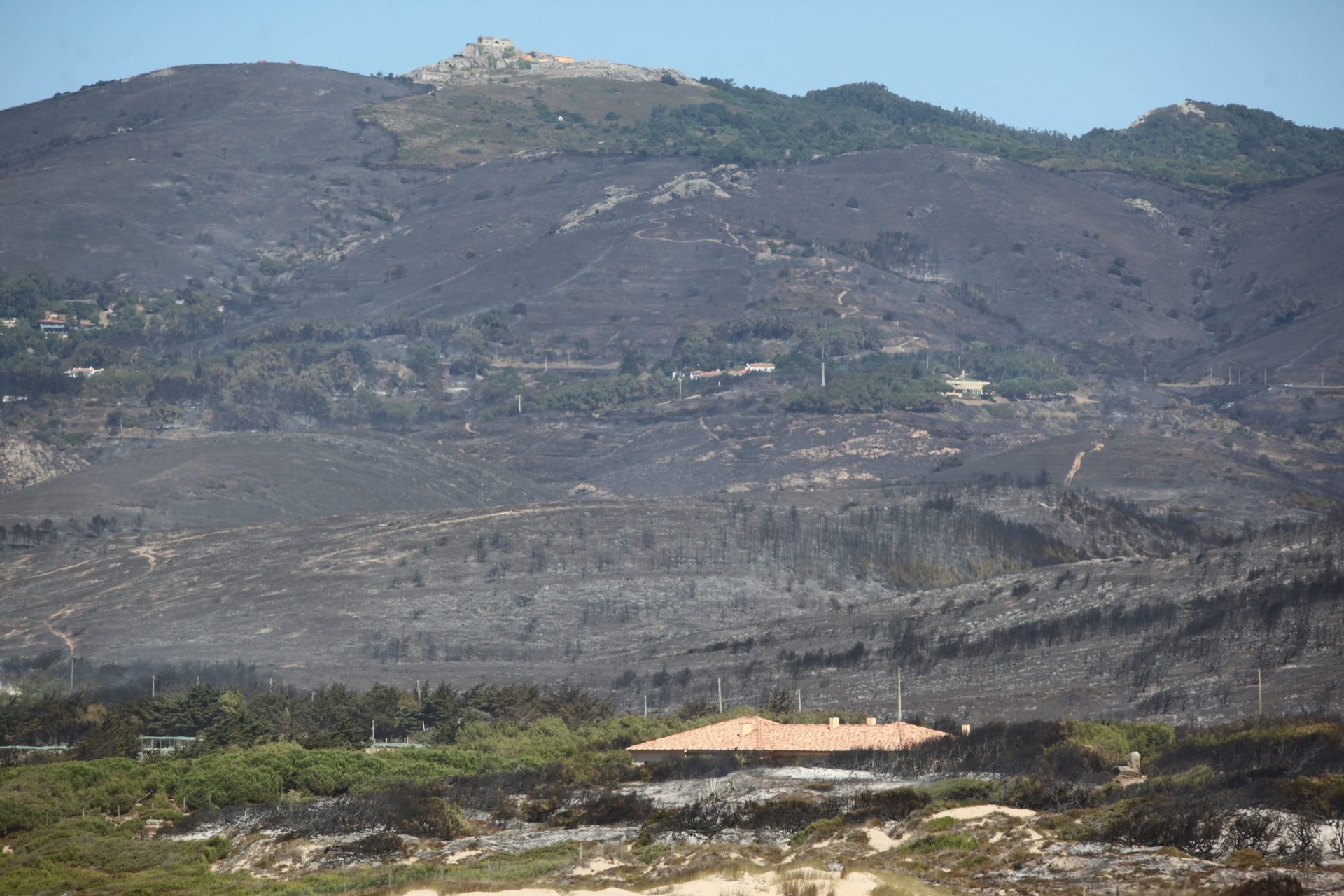 Depois do incêndio, já há terrenos à venda no Parque Natural de Sintra-Cascais