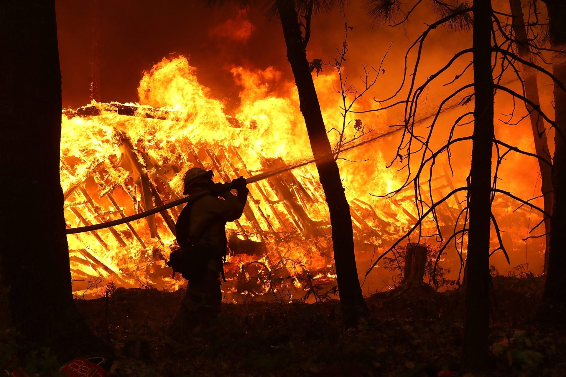 Há pelo menos 31 mortos no incêndio da Califórnia