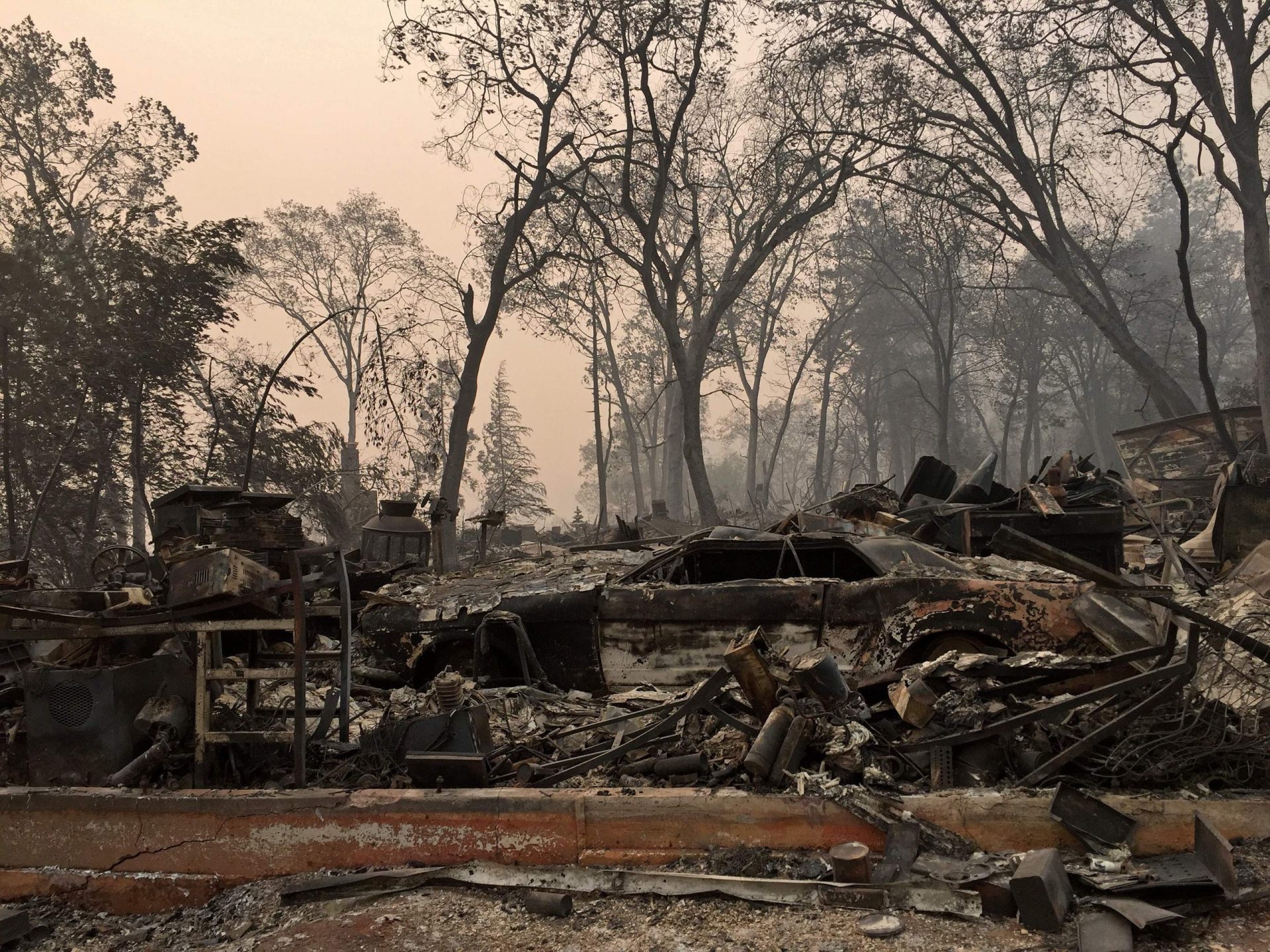 Último balanço dá conta de 63 vítimas mortais e 631 desaparecidos em incêndio em Paradise na Califórnia