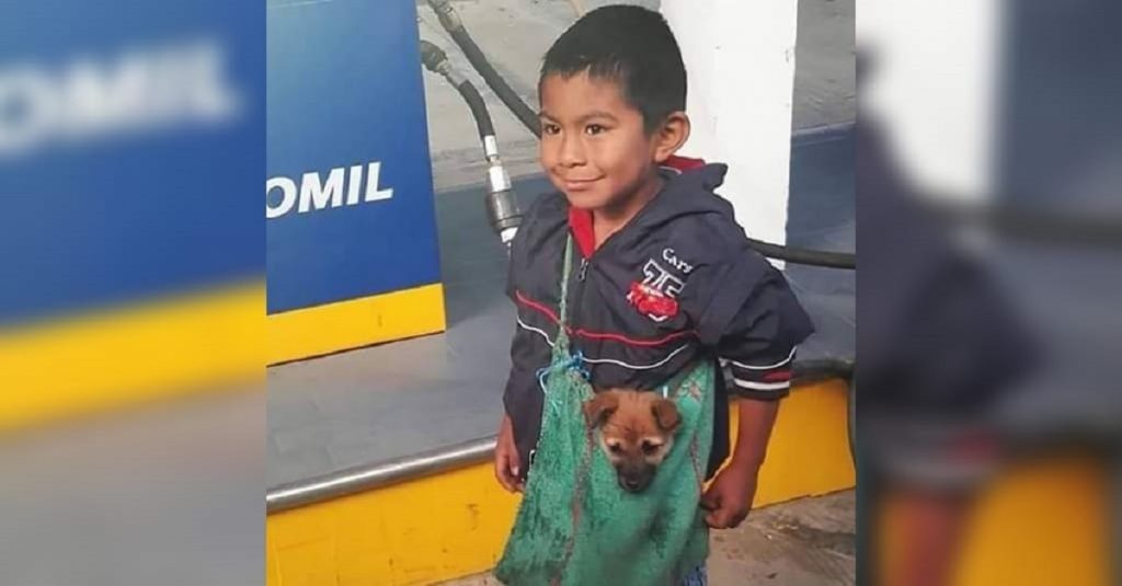A história comovente do menino que transporta o cão numa sacola para todo o lado