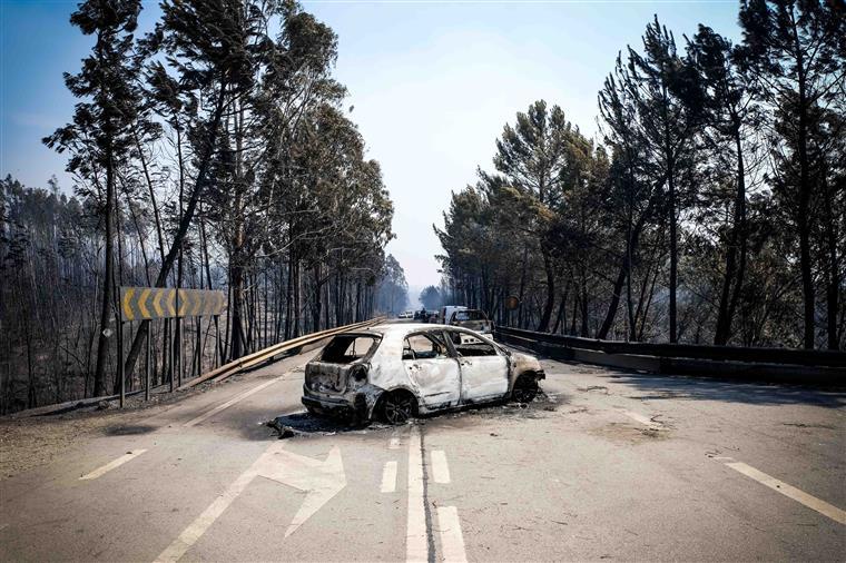 Governo estende apoios de Pedrógão Grande a municípios afetados pelos incêndios em outubro