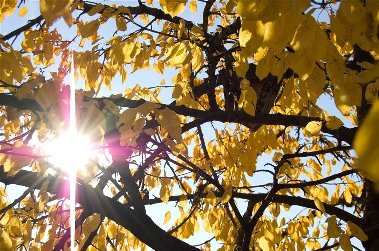 Temperaturas descem esta quarta-feira mas termómetros vão chegar aos 29 graus