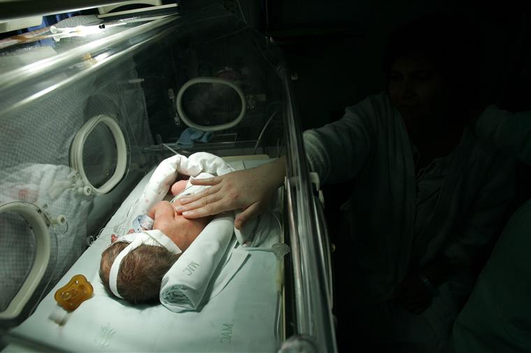 Nunca tinham nascido tantos bebés no mesmo dia no Hospital de São João: 17 partos em menos de 24 horas