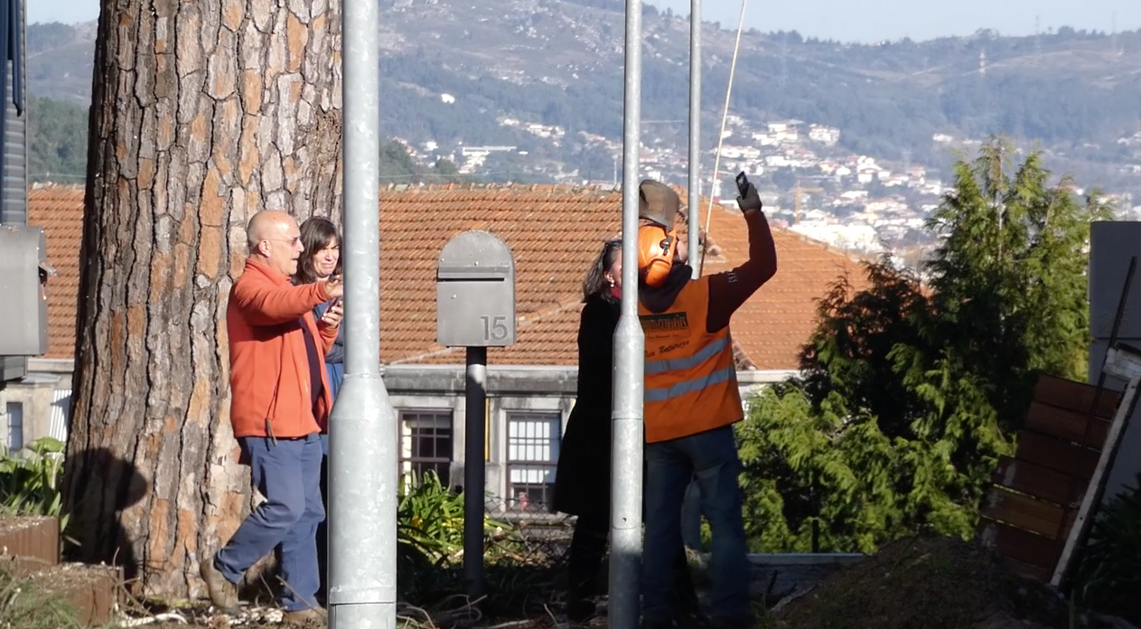 Moradores impediram abate polémico de árvore em Braga | VÍDEO