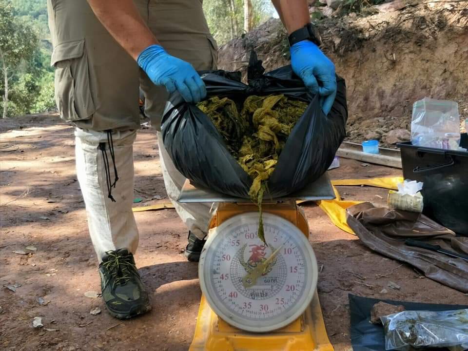 Cervo encontrado morto com sete quilos de plástico no estômago