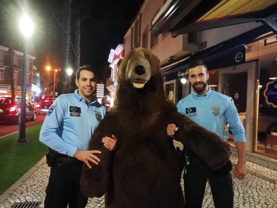 Agentes da polícia ‘resgatam’ urso da Natura roubado por grupo de adolescentes em Cascais