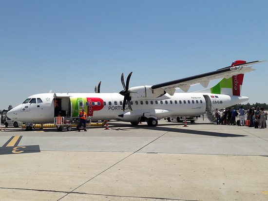 Avião da TAP choca com águia durante descolagem no aeroporto de Bilbau