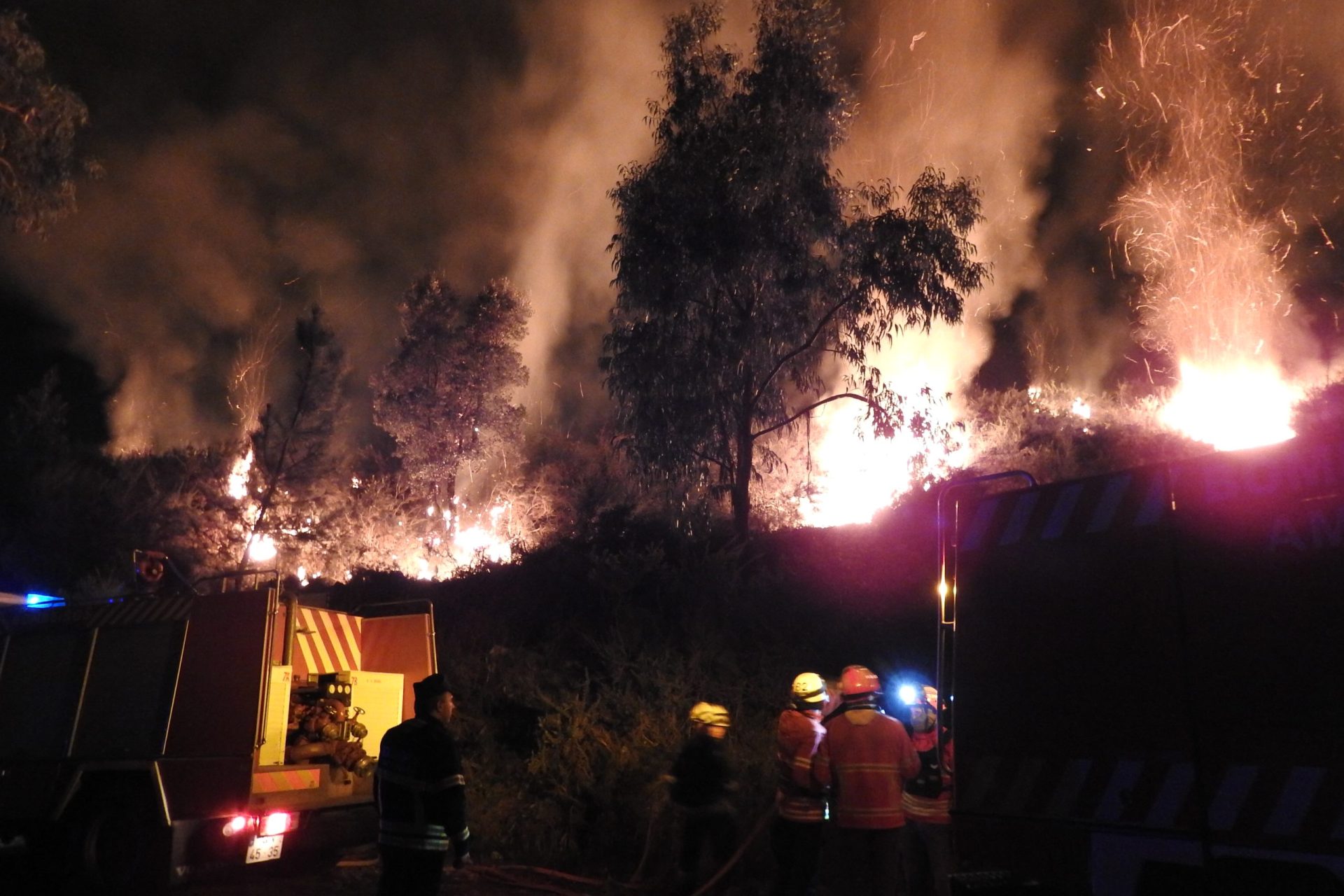 Incêndio florestal aos primeiros minutos do ano em Braga