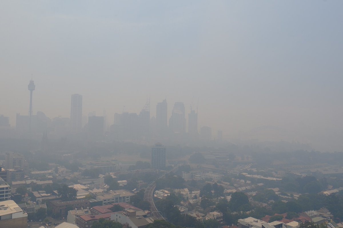 Incêndios na Austrália cobrem Sydney com nuvem de fumo tóxica