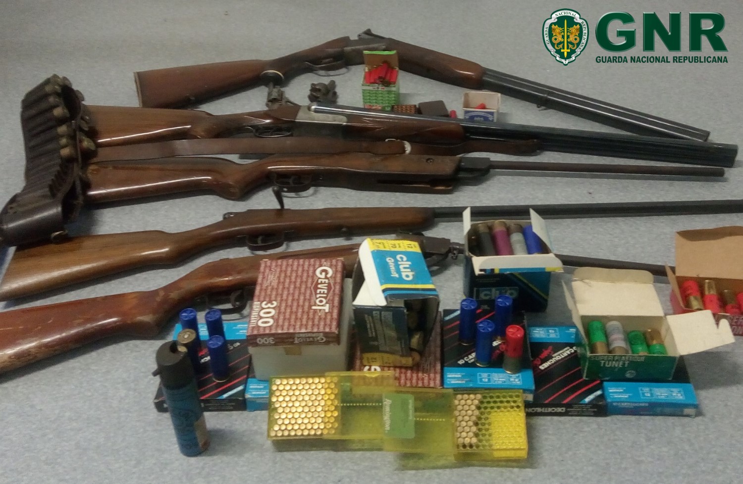 GNR apreende sete armas e 350 munições a suspeito de violência doméstica em Póvoa de Lanhoso