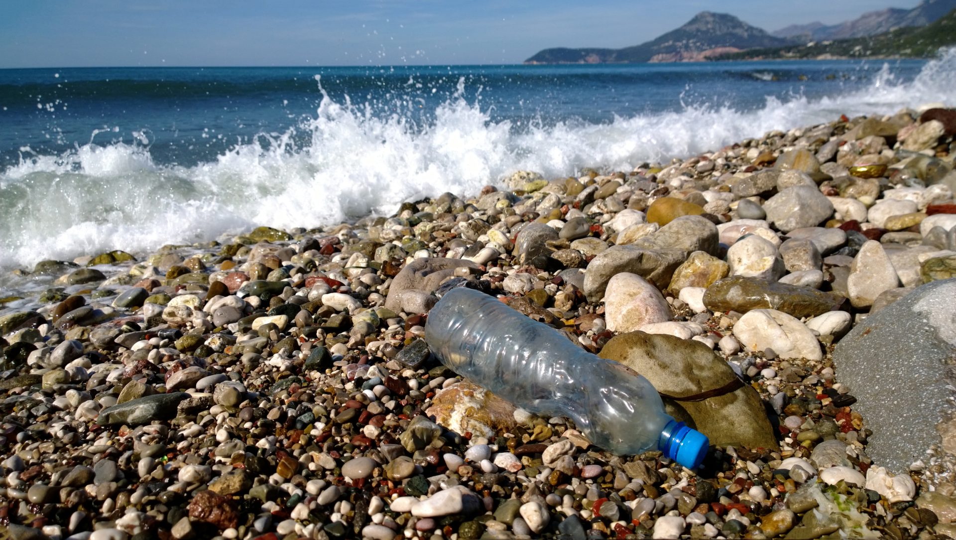 “O mais tardar em 2021, Portugal estará livre de palhinhas e garrafas de plástico&#8221;