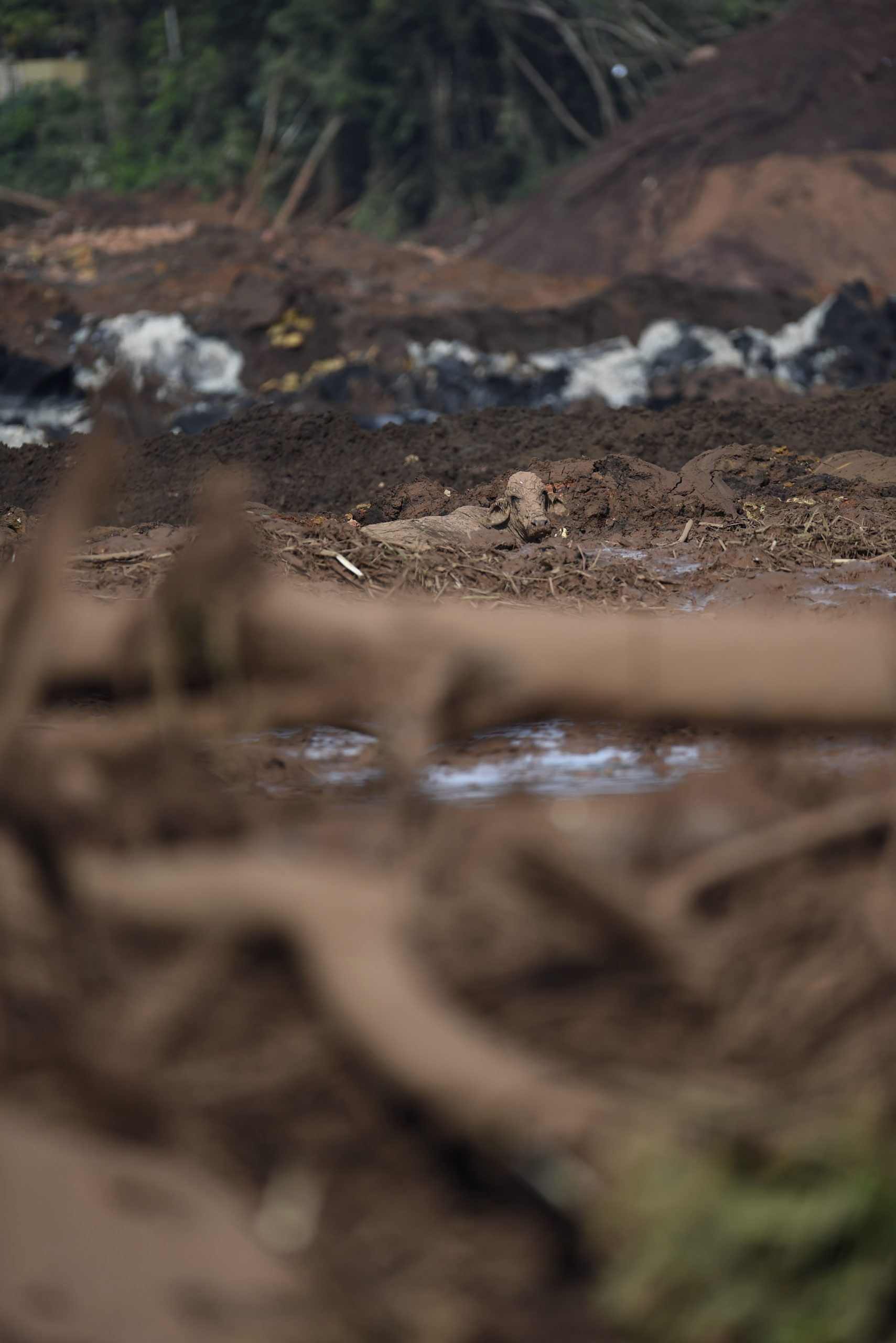 Imagens do monte de lama depois da rutura de uma barragem no Brasil