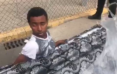 Migrantes apanhados a atravessar fronteira escondidos em colchões | Vídeo