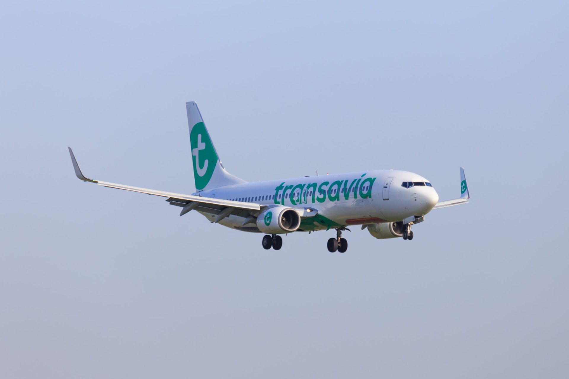 Homem alcoolizado provoca desacatos e obriga avião da Transavia a aterrar de emergência em Faro | VÍDEO