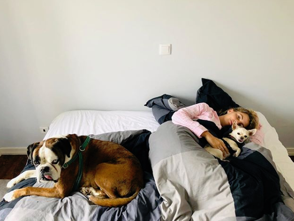 Jessica Athayde com dificuldades em arrendar casa em Lisboa por ter dois cães