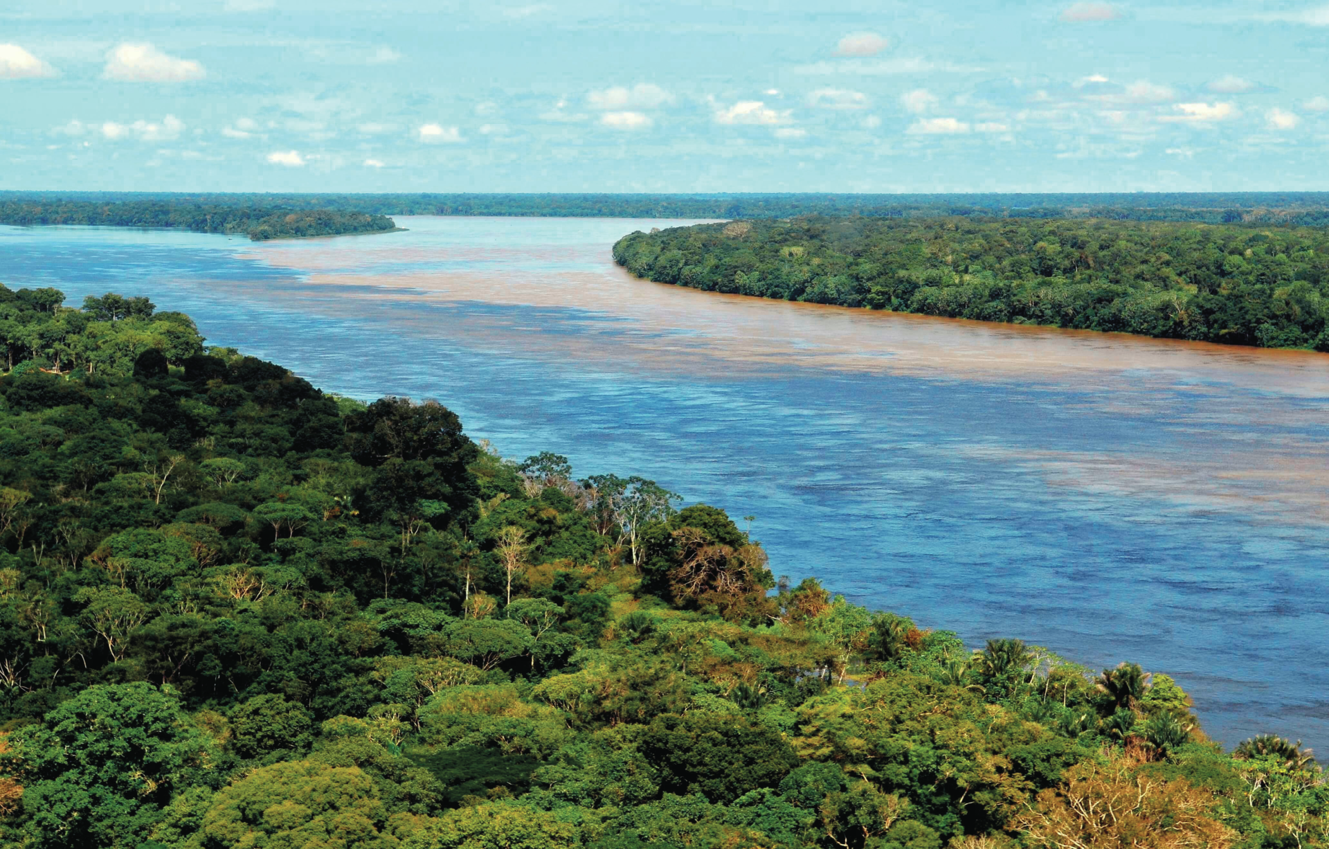 Amazónia a transformar-se numa savana