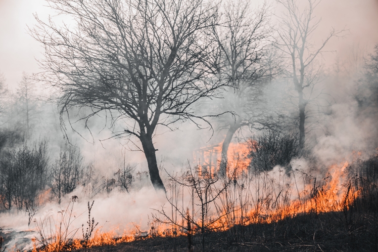 Reformado ateou incêndios florestais no distrito da Guarda