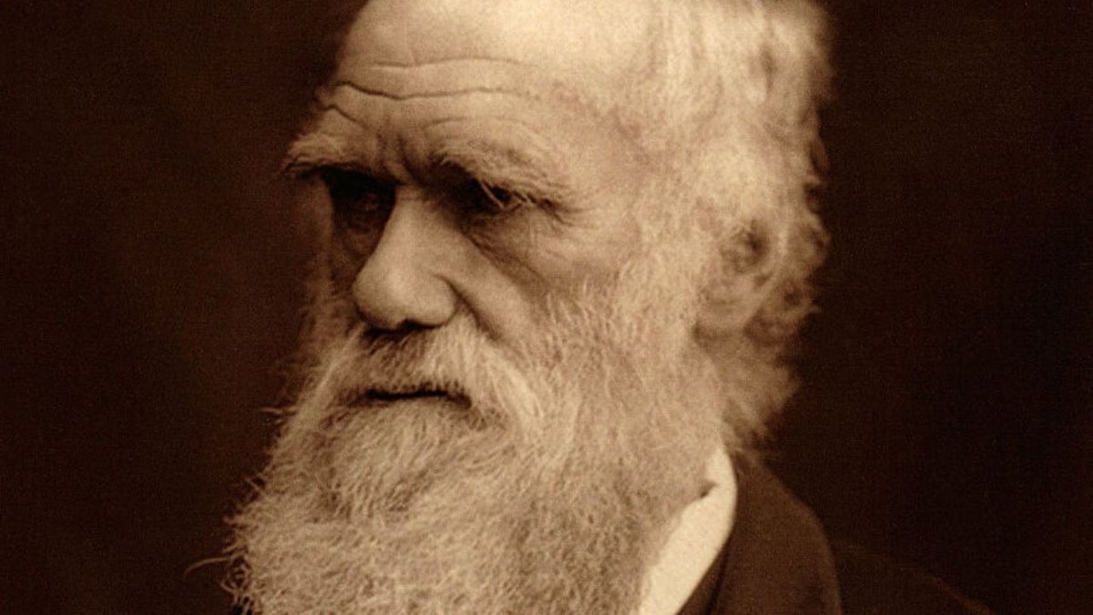 Manuscritos de Darwin procurados pela Interpol