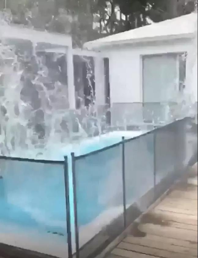 Vídeo mostra porco a ser atirado de um helicóptero para dentro de uma piscina