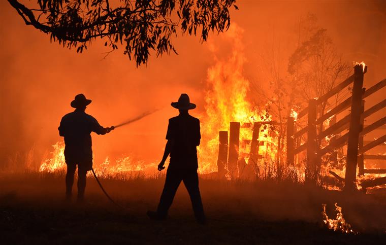 Incêndios na Austrália já provocaram 29 mortos