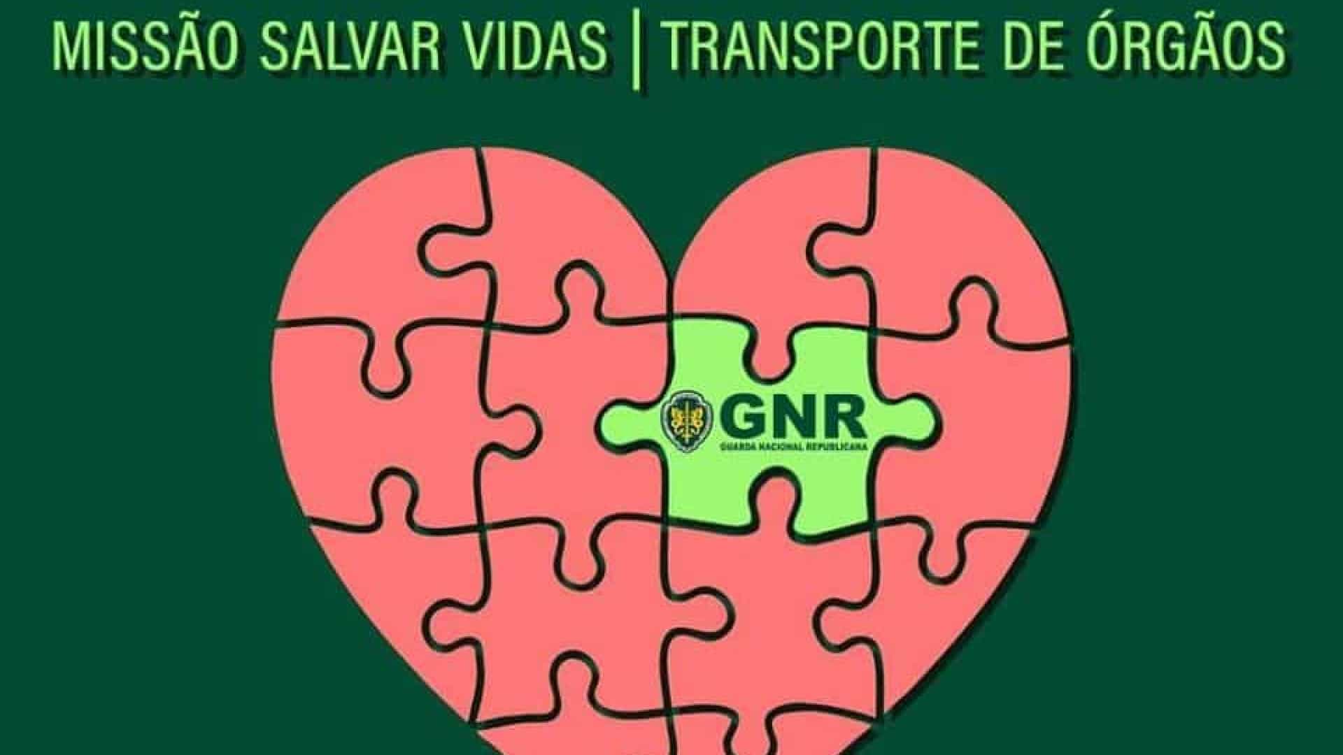 GNR salvou 297 vidas a transportar órgãos em 2019