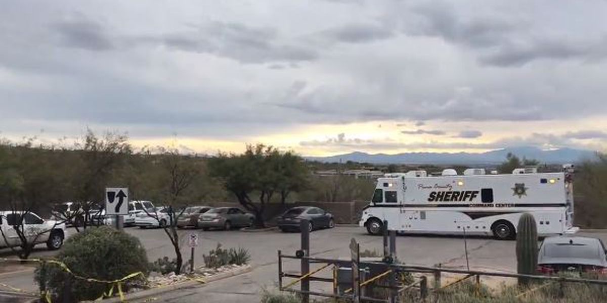 Polícia mata três leões da montanha no Arizona depois de serem encontrados a comer corpo humano