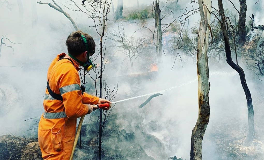 Vídeo mostra jovem que combate as chamas a salvar canguru bebé