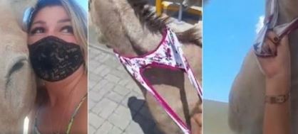 Ativista tirou cuecas para salvar burros e o momento já se tornou viral: “Faria tudo novamente” | Vídeo