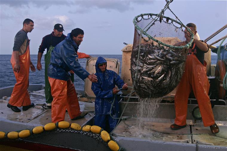 Governo dos Açores não aceita críticas do Sindicato Livre dos Pescadores a subsídio