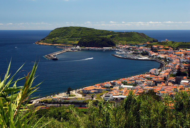 Peixe-lua com quase três toneladas encontrado sem vida no porto da Horta nos Açores