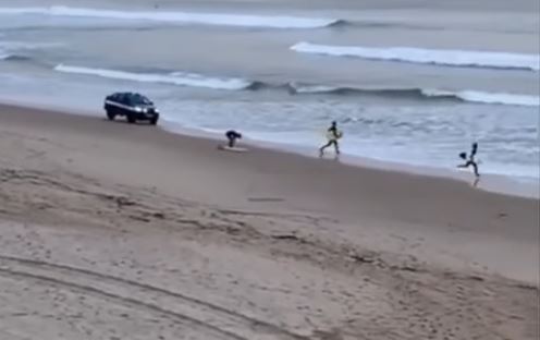Vídeo mostra polícia a ‘perseguir’ surfistas na praia de Carcavelos