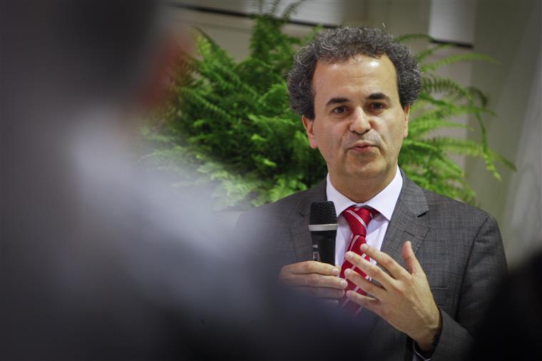 Fernando Araújo nomeado diretor executivo do SNS por três anos