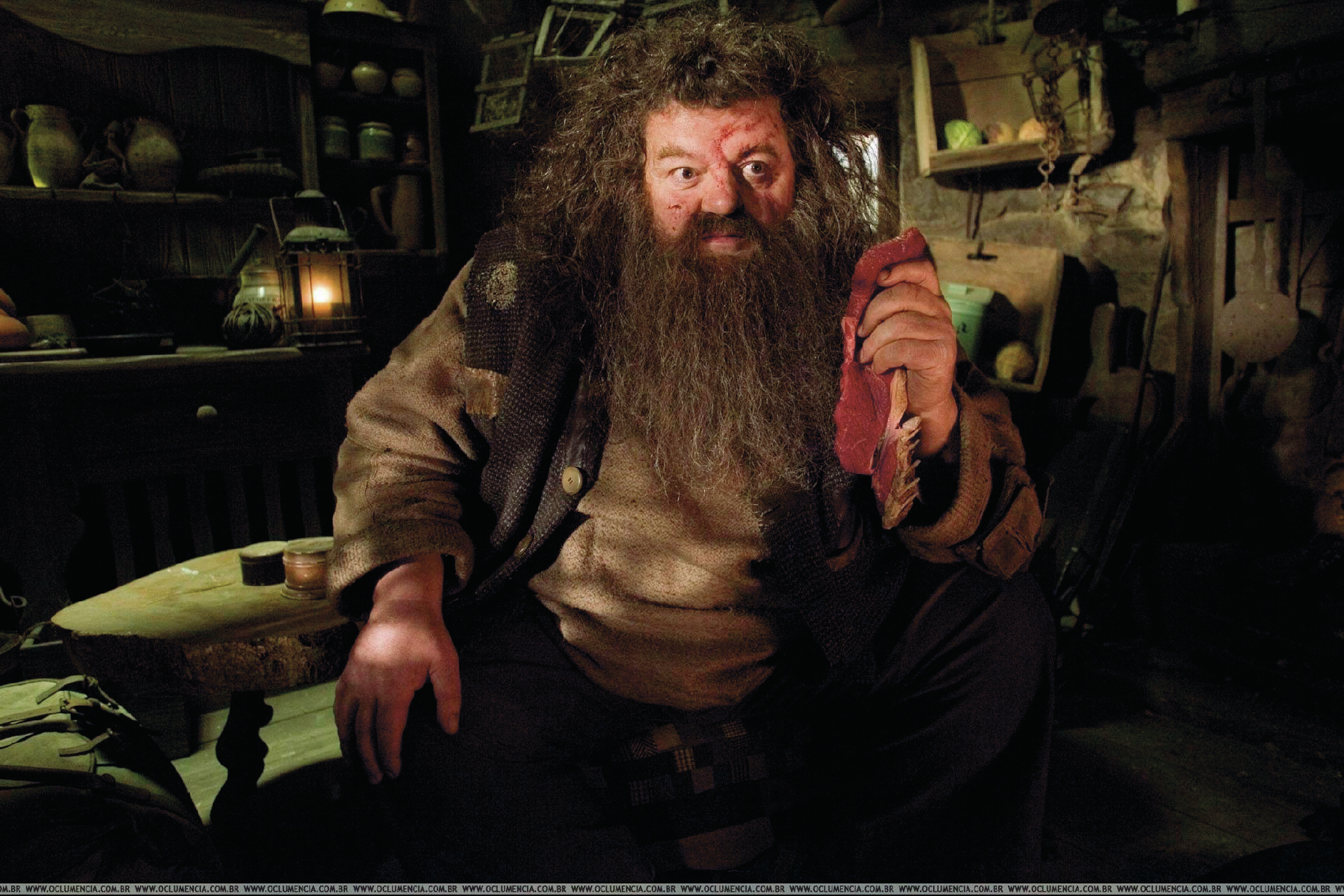 Robbie Coltrane. “Eu não vou estar aqui, mas o Hagrid estará”