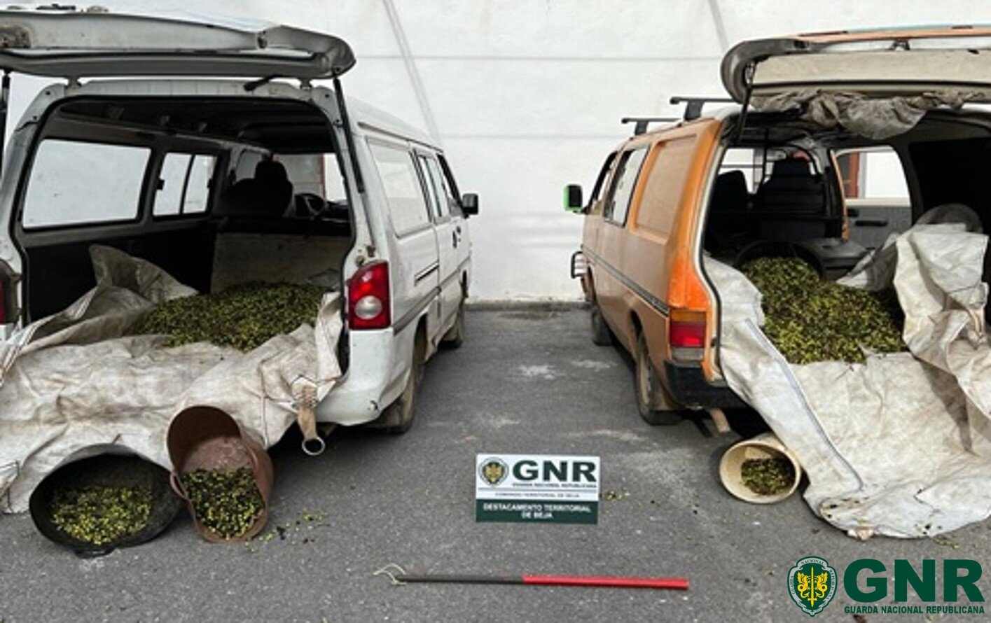 GNR deteve em flagrante grupo que tentou furtar quase 250 quilos de azeitonas em Beja