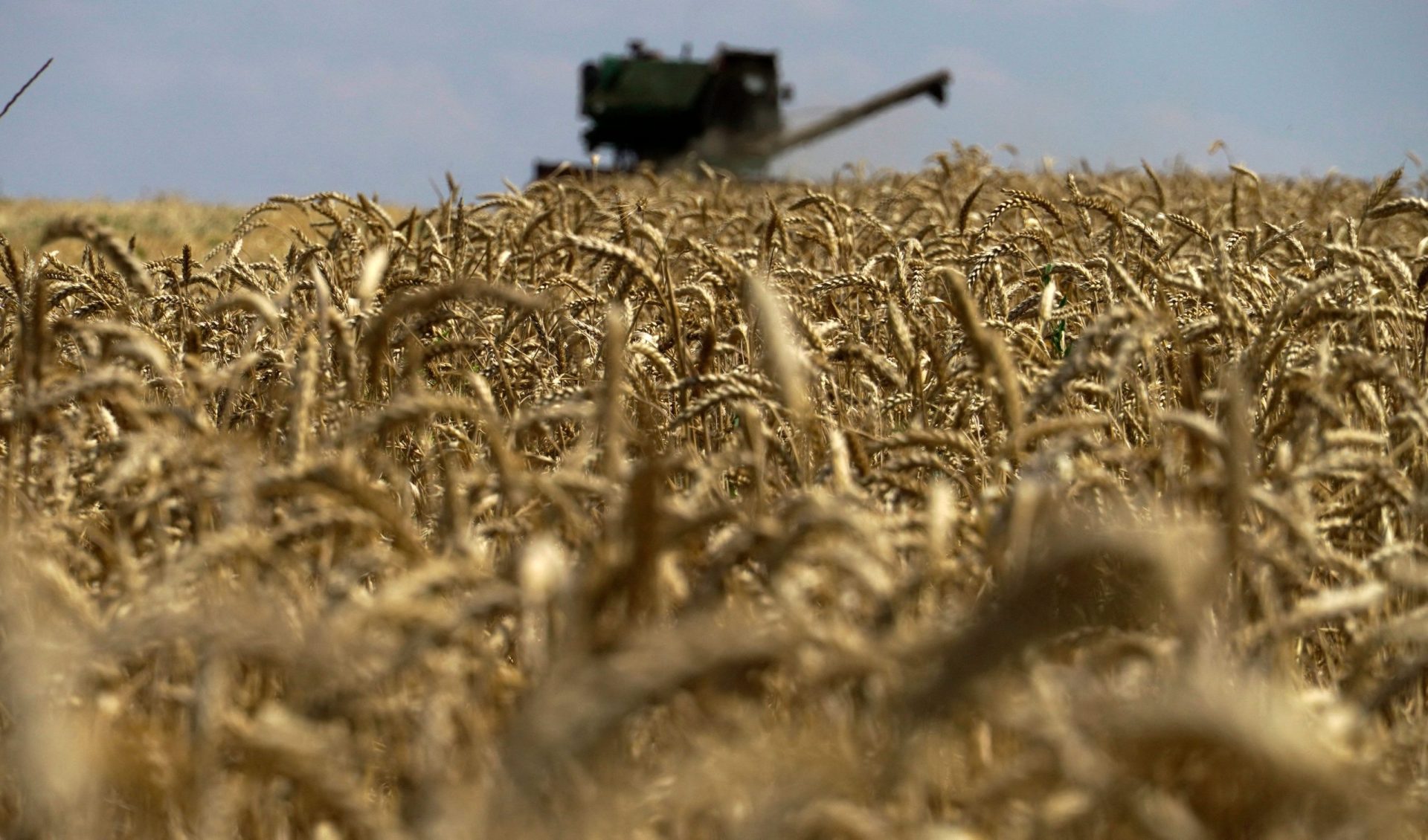 Rússia volta a participar nas exportações de cereais ucranianos
