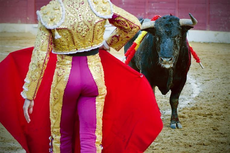 Português ferido com gravidade por touro em Salamanca.