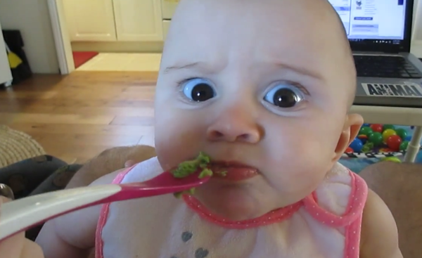 Esta é a reacção de um bebé a comer abacate pela primeira vez