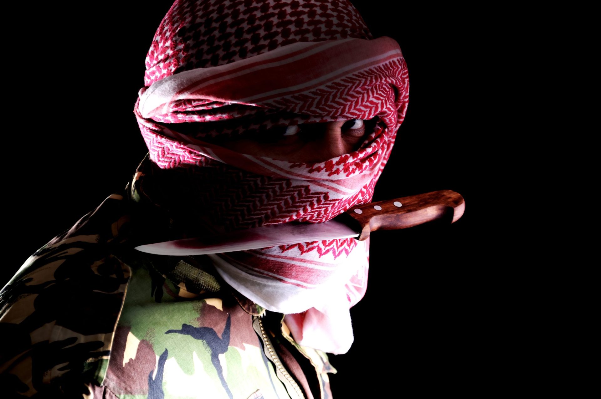 Al-Qaeda diz que não vai atacar o Ocidente… &#8220;por agora&#8221;