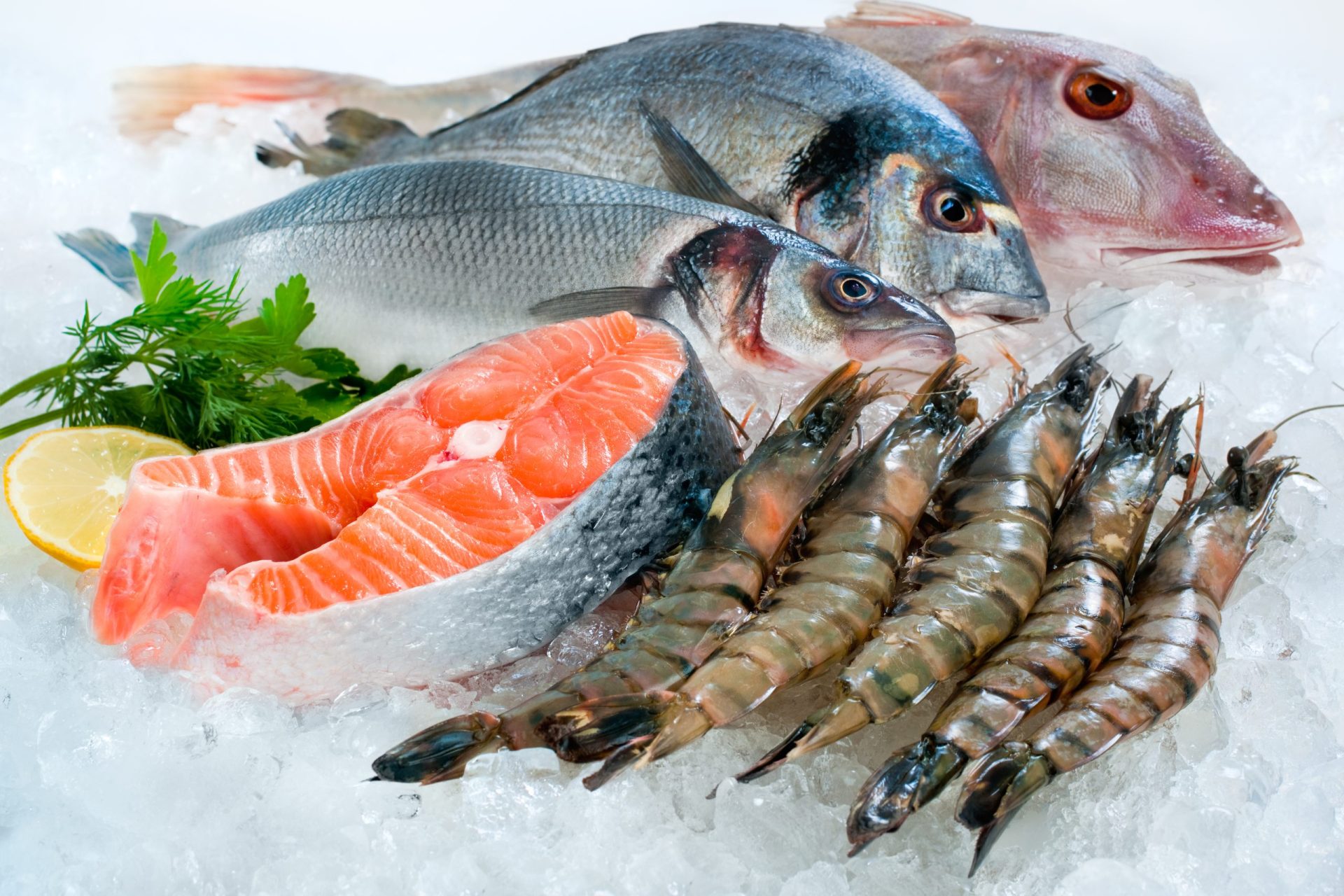Frota nacional capturou mínimos históricos de peixe em 2014